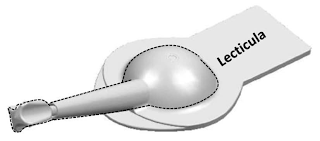 LECTICULA logo