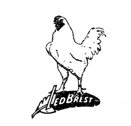 LEDBREST logo