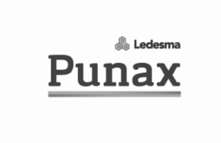 LEDESMA PUNAX logo