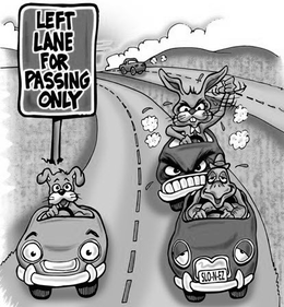 LEFT LANE FOR PASSING ONLY SLO·N·EZ logo