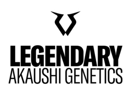 LEGENDARY AKAUSHI GENETICS logo