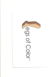 LEGS OF COLOR logo