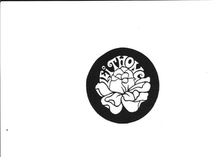 LEI THONG logo