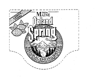LEMON ESSENCE FROM MAINE POLAND SPRING NATURAL SPRING WATER WITH THE ADDED NATURAL ESSENCE OF LEMON logo