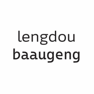 LENGDOU BAAUGENG logo