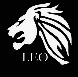 LEO logo