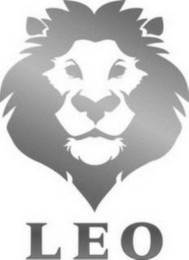 LEO logo