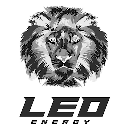 LEO ENERGY logo