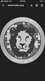 LEO LION CLUB FOUNDATION INC logo