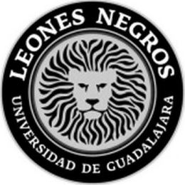 LEONES NEGROS UNIVERSIDAD DE GUADALAJARA logo
