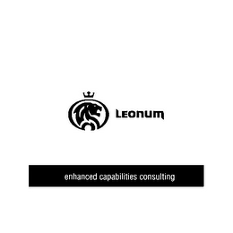 LEONUM ENHANCED CAPABILITIES CONSULTING logo