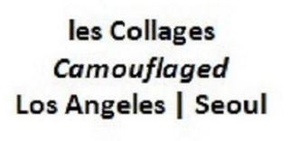 LES COLLAGES CAMOUFLAGED LOS ANGELES | SEOUL logo
