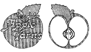 LES FILS APPLE YARNS logo