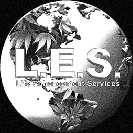 L.E.S. LIFE ENHANCEMENT SERVICES logo