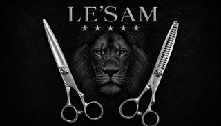 LE'SAM logo