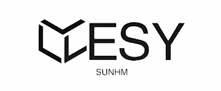 LESYSUNHM logo