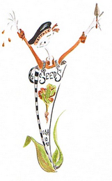 LETTACE SEEDS USA 10 02 logo