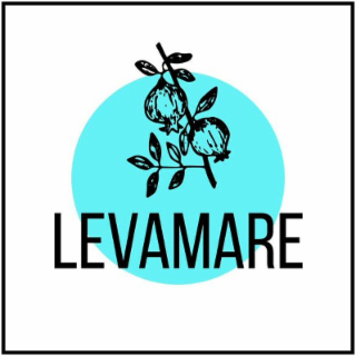 LEVAMARE logo
