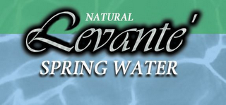 LEVANTE' NATURAL SPRING WATER logo