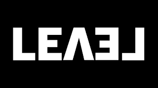 LEVEL logo