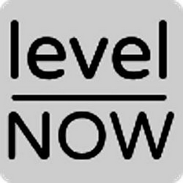 LEVEL NOW logo