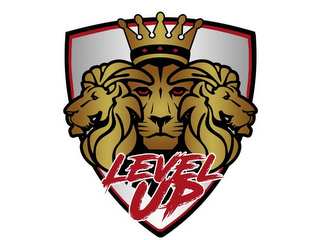 LEVEL UP logo
