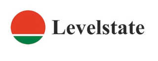 LEVELSTATE logo