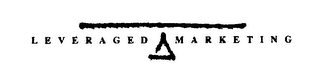 LEVERAGED MARKETING logo