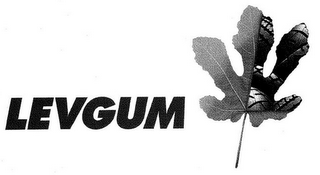 LEVGUM logo
