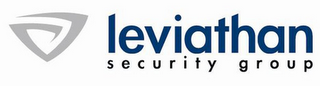 LEVIATHAN SECURITY GROUP