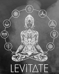 LEVITATE logo
