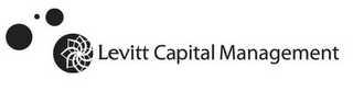 LEVITT CAPITAL MANAGEMENT logo