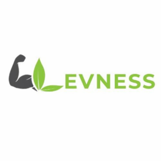 LEVNESS logo