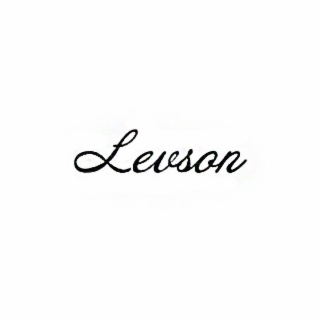 LEVSON logo