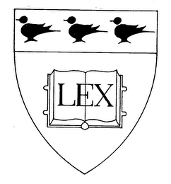 LEX logo