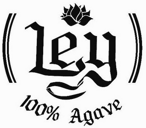 LEY 100% AGAVE logo