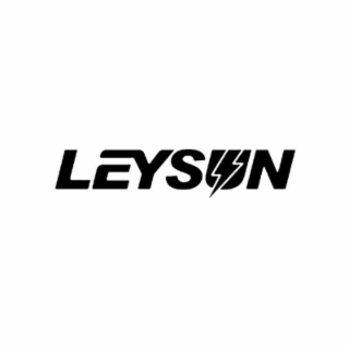 LEYSUN logo