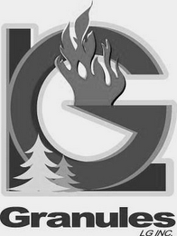 LG GRANULES L.G. INC. logo