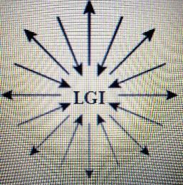 LGI