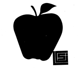 LGSI logo