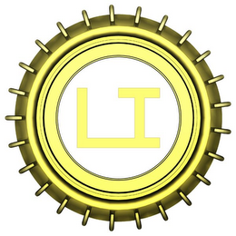 LI logo