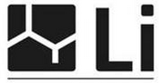 LI logo