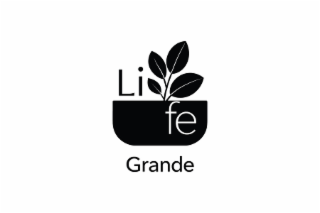 LI FE GRANDE logo