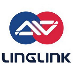 LI LI LINGLINK logo