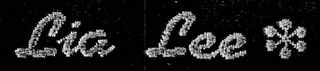 LIA LEE logo