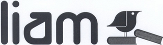 LIAM logo