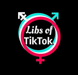 LIBS OF TIKTOK logo