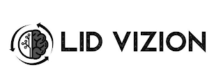 LID VIZION logo