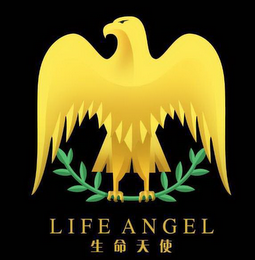 LIFE ANGEL logo