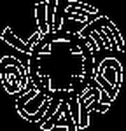 LIFE GUARD logo